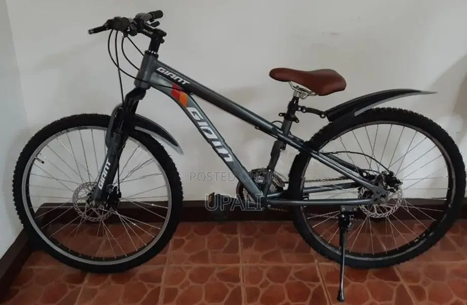 Mountain Bicycle