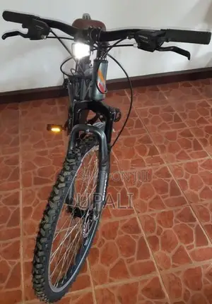 Mountain Bicycle