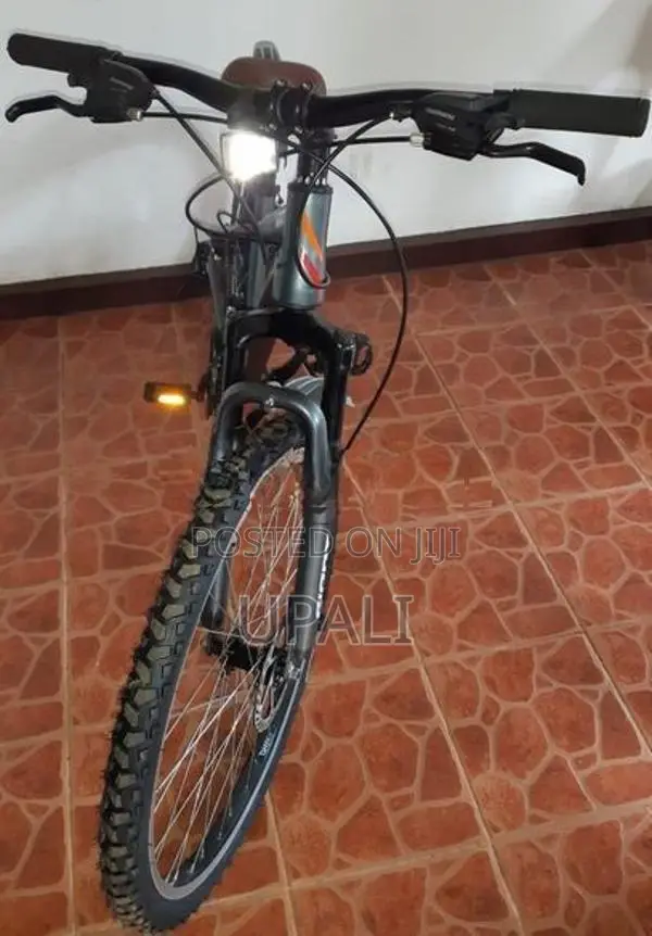 Mountain Bicycle
