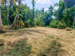 වෙල්යායකට මයිම් පර්චස් 14 ක වටිනා ඉඩමක් විකිණීමට