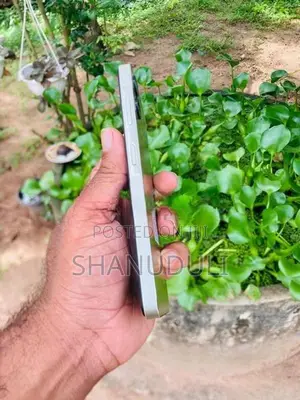 Samsung Galaxy A06 64GB (Used)