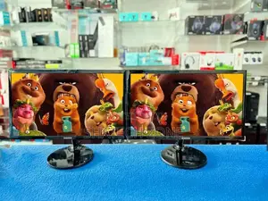 22" Wide LED HDMI Monitor
