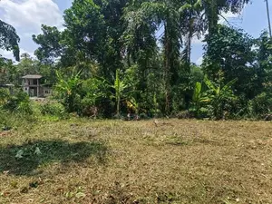 වෙල්යායකට මයිම් පර්චස් 14 ක වටිනා ඉඩමක් විකිණීමට