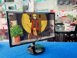 22" Wide LED HDMI Monitor