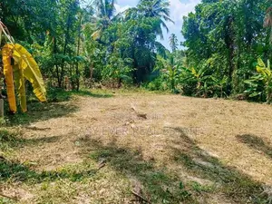 වෙල්යායකට මයිම් පර්චස් 14 ක වටිනා ඉඩමක් විකිණීමට