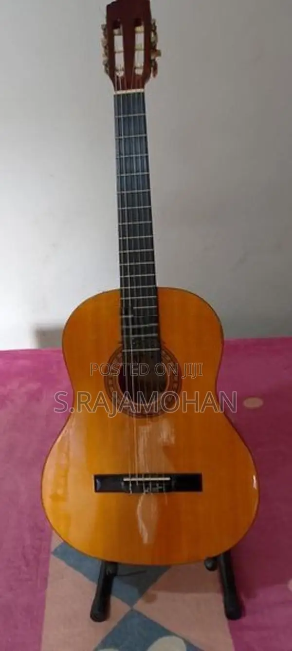 Acoustic Guitar