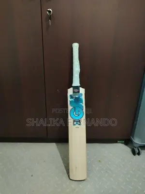 New GM Cricket Bat