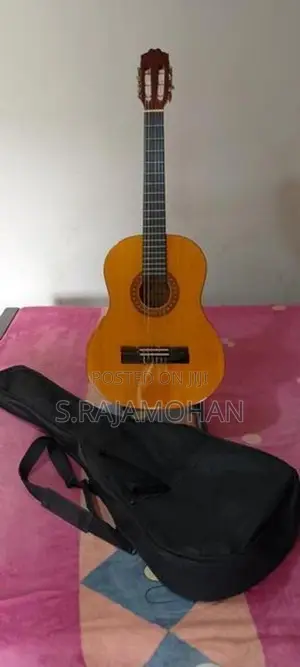 Acoustic Guitar