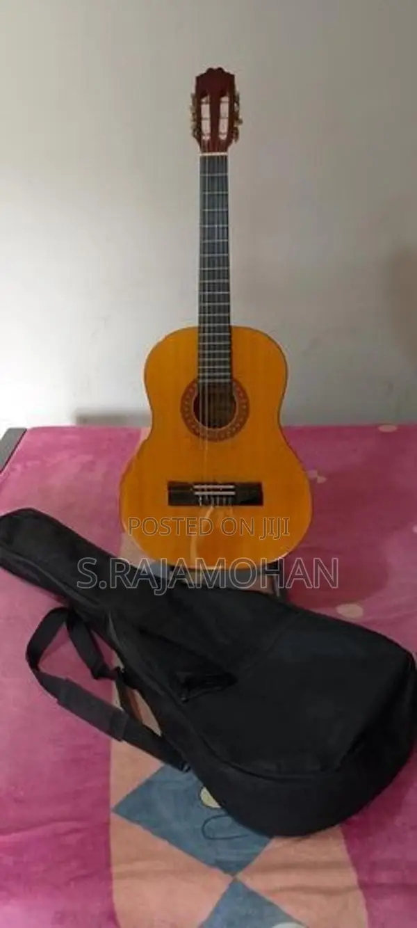 Acoustic Guitar