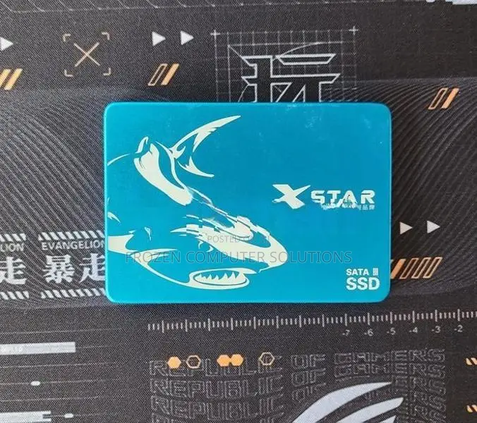 256GB SSD Hard Disk