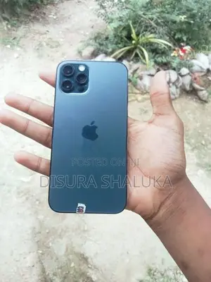 Apple iPhone 12 Pro (Used)