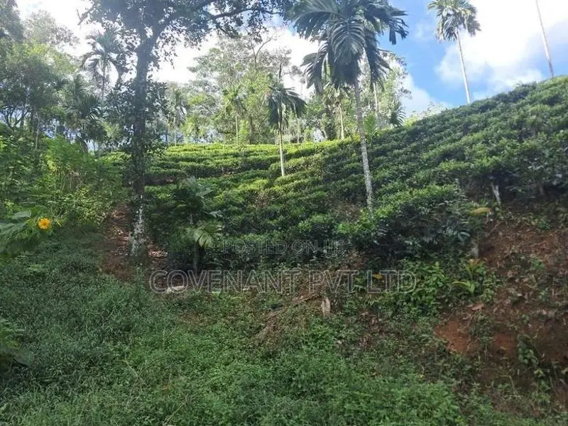 Agricultural Land for Sale in Yatiyanthota