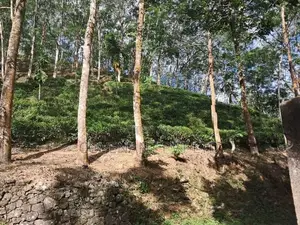 Agricultural Land for Sale in Yatiyanthota