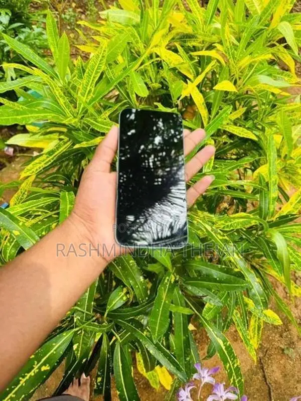 Honor X6c (Used)