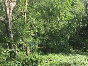 Agricultural Land for Sale in Yatiyanthota