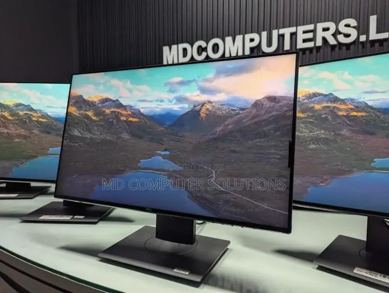 Dell 24 Inch Full HD IPS Frameless Used Monitor
