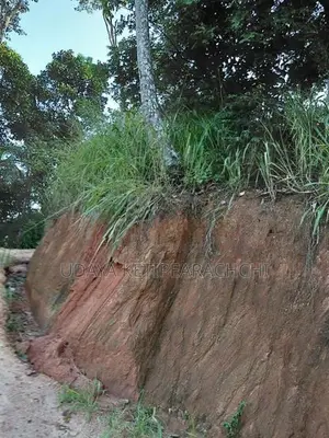 Land for Sale in Aniwatte , Kandy