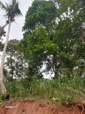 Land for Sale in Aniwatte , Kandy