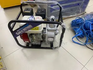 2 Inch Petrol Water Pump (WP-20X)