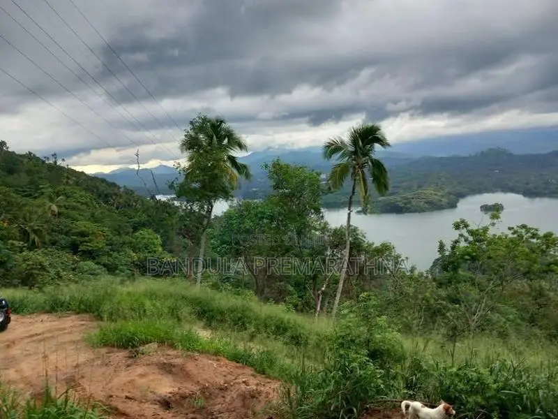 Kandy Land for Sale