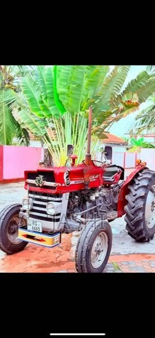 Massey Ferguson 135 2015