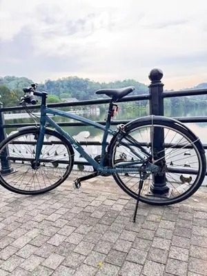 Bicycle