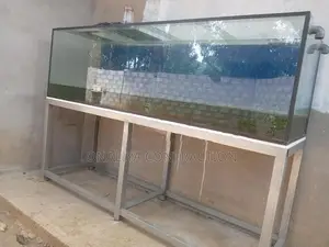 Fish Tank