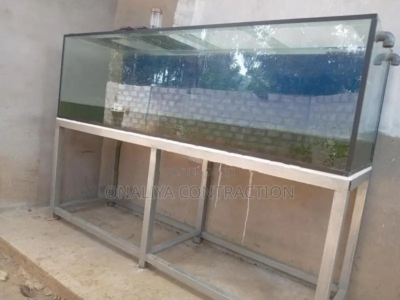 Fish Tank