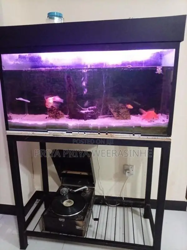 Fish tank
