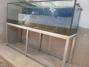 Fish Tank