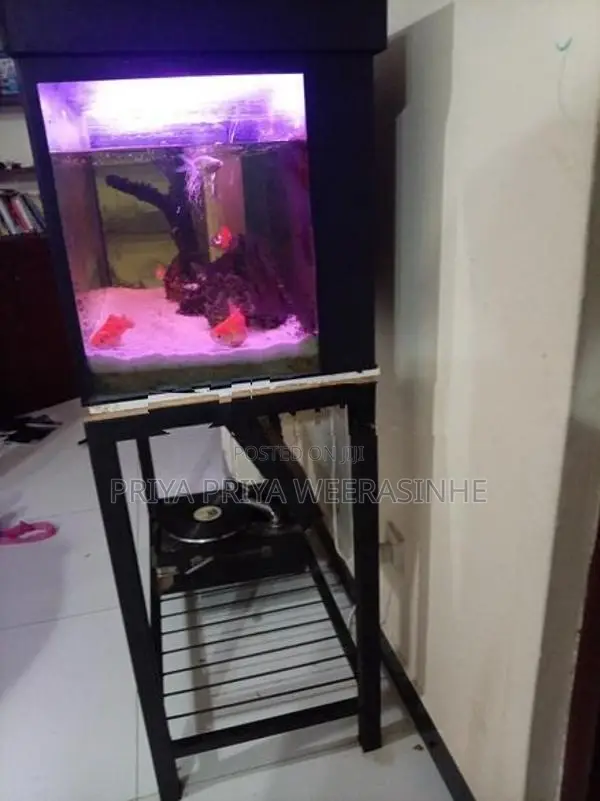 Fish tank