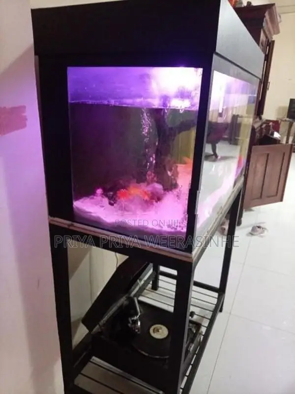 Fish tank