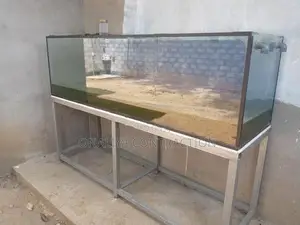 Fish Tank
