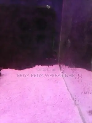 Fish tank