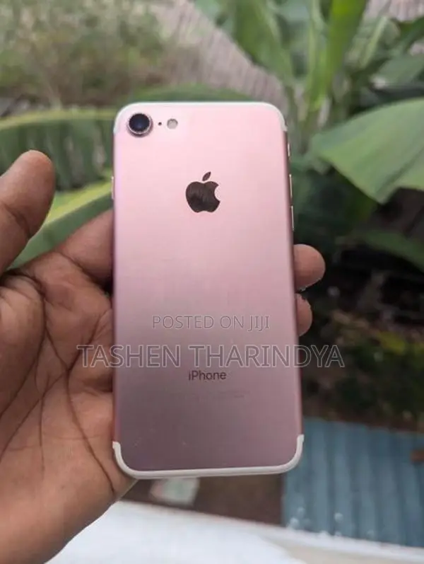 Apple iPhone 7 (Used)