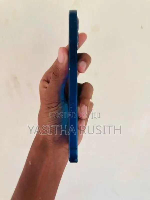 Apple iPhone 12 (Used)