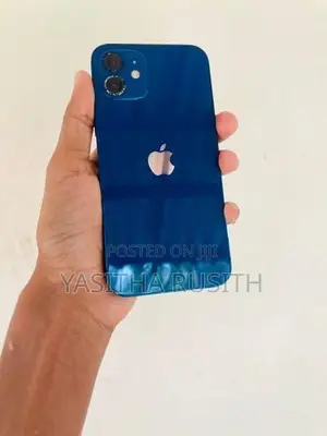 Apple iPhone 12 (Used)