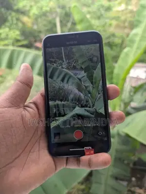 Apple iPhone 7 (Used)