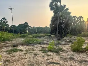 2.8 acres Land For Sale in Kalpitiya.(SSPL-385)