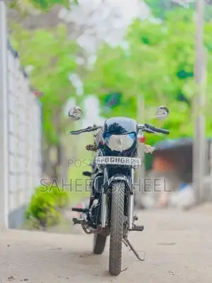Hero HF Deluxe 100 2017