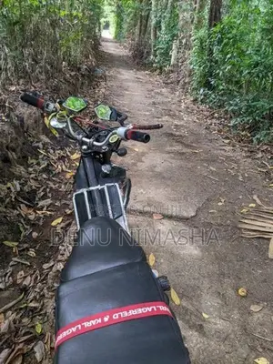 Loncin LX 2009