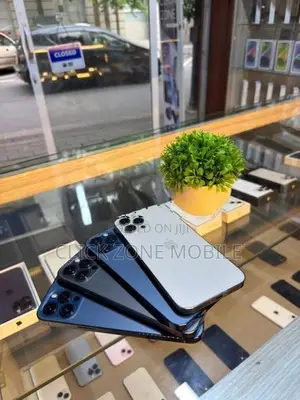Apple iPhone 12 Pro Max 256GB (Used)