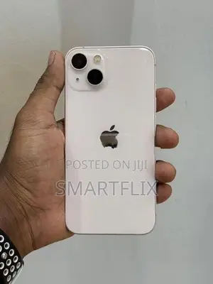 Apple iPhone 13 (Used)