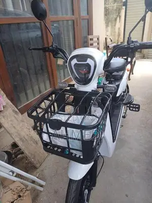 Electric Bike 2025