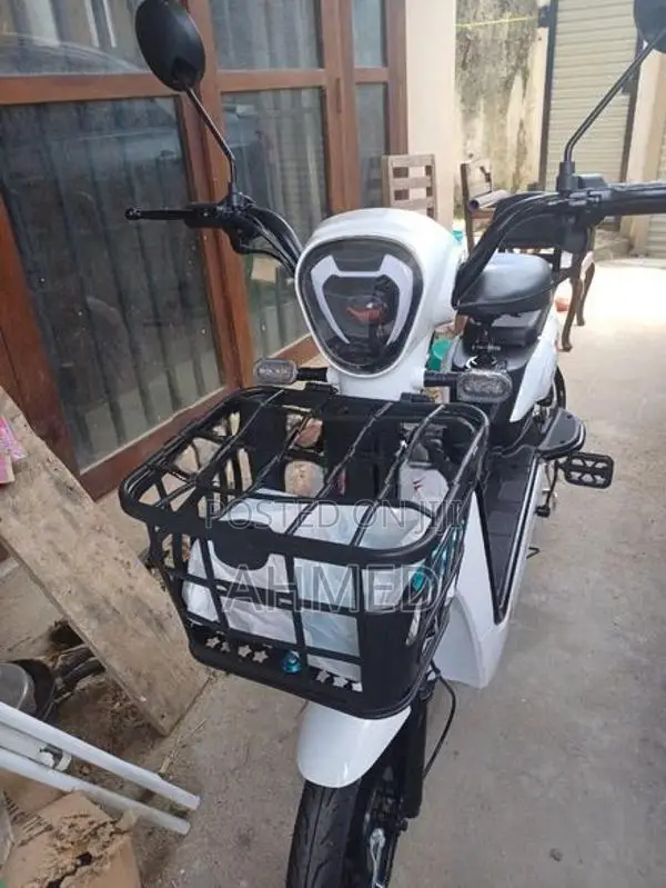 Electric Bike 2025