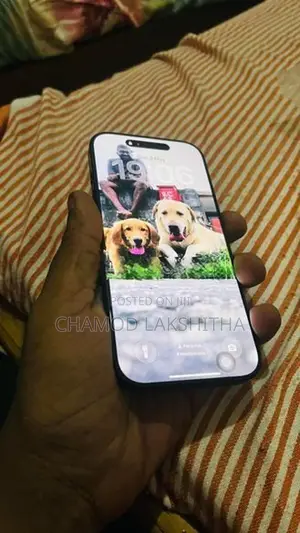 Apple iPhone 16 Pro 256GB (Used)