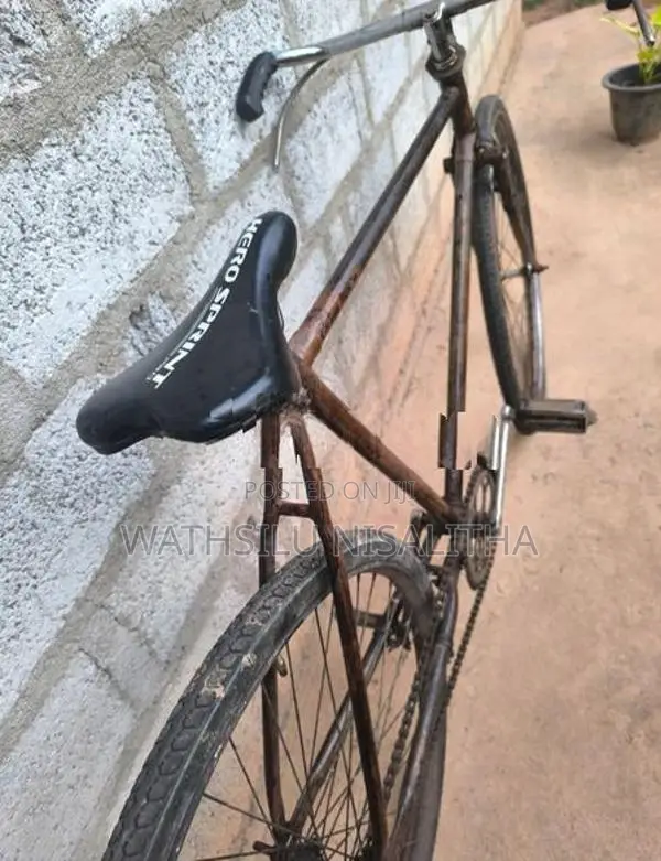 Raleigh Racing Bicycle