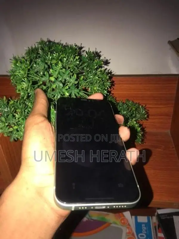 Apple iPhone 12 (Used)