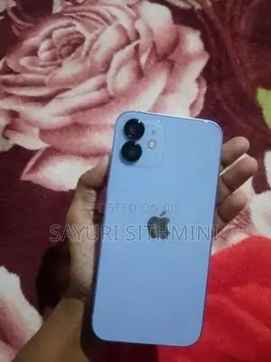 Apple iPhone 12 (Used)