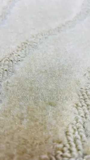 Vehicle Universal Velvet Carpet
